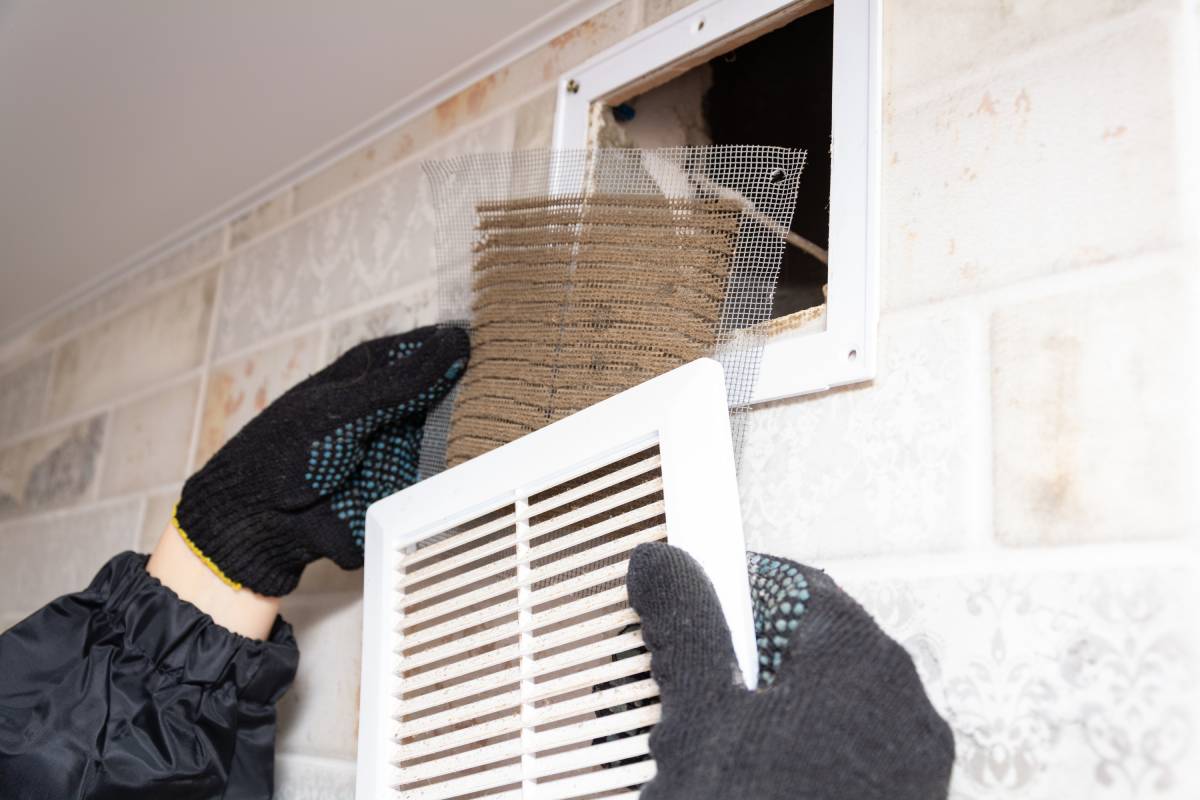 Air Duct Inspection